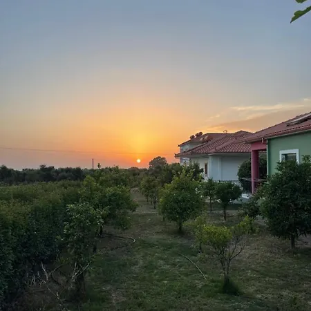 Stomio Villague Filiatra