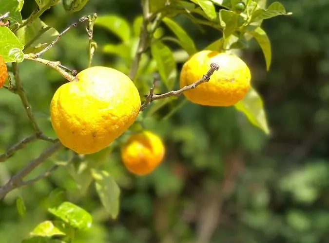 Stomio Villague Apartmanhotel 3*