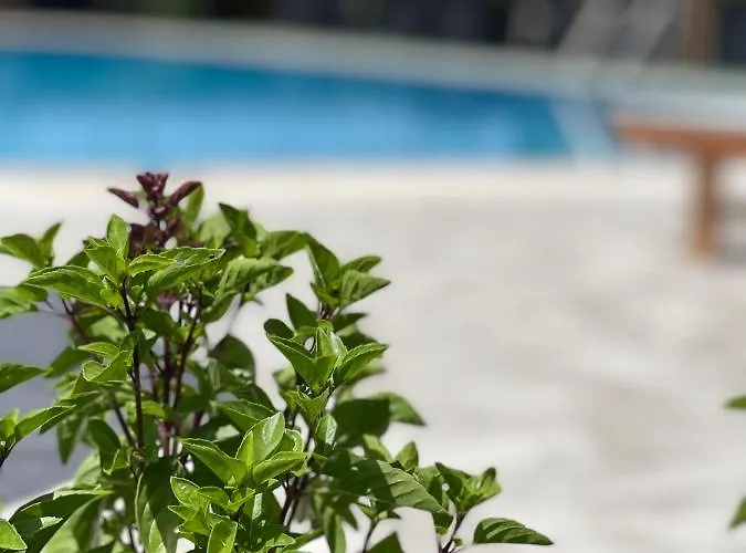 Stomio Villague Filiatrá