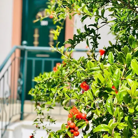 公寓式酒店 Stomio Villague 3*