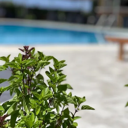 Stomio Villague 필리아트라