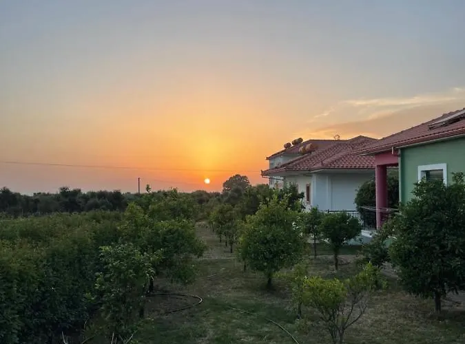 Stomio Villague フィリアトラ