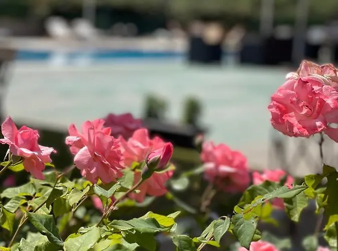 Stomio Villague アパートホテル フィリアトラ